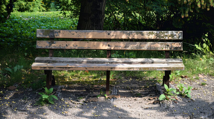 wooden park bench
