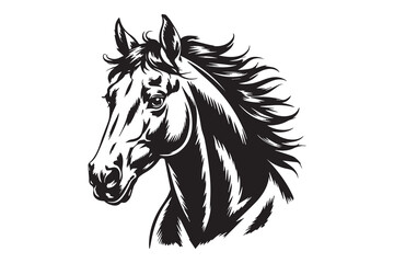 horse Black and White Vector