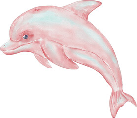watercolor pink dolphin illustration © draftphic