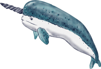 watercolor narwhal illustration © draftphic