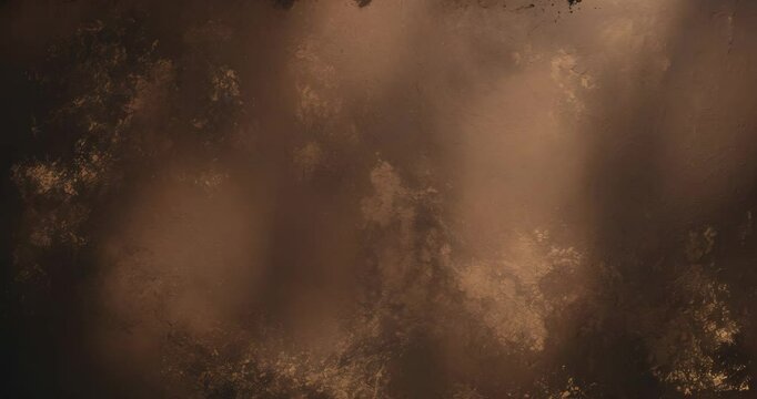 Dark brown coated backdrop with black shadows flanking both sides.