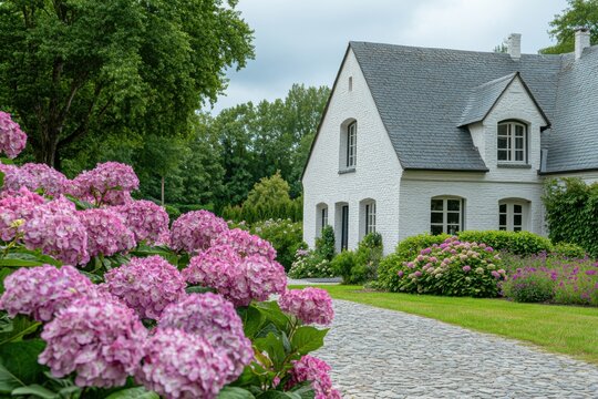 A stunning garden filled with vibrant pink hydrangeas blooms beautifully, complementing a charming white house that is nestled amidst lush greenery on a lovely cloudy day
