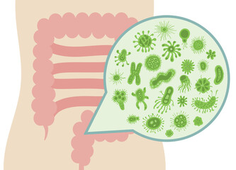 A vector illustration of various cute and friendly bacteria inside the human intestine, representing the gut microbiome