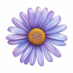 Realistic purple daisy flower with golden center, detailed petals and soft lighting for decorative and design purposes. Isolated on transparent background.