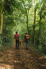 Naklejka premium Multiethnic hikers walking through tropical forest trail in Costa Rica