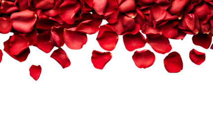 Red petals pattern, border arrangement on black, cut out transparent