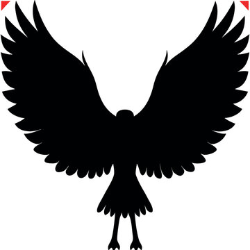 recommend clip art: Kiwi bird jump silhouette with white background.