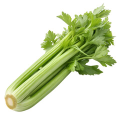 Fresh Celery Bunch on transparent background, Crisp Stalks & Green Leaves, Healthy Vegetable