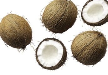 Coconut At Icoaraci Village Sidewalk.Coconut cocos nuciferaon a wite background.A collection of tender coconuts all ready to drink
