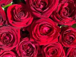 bouquet of red roses