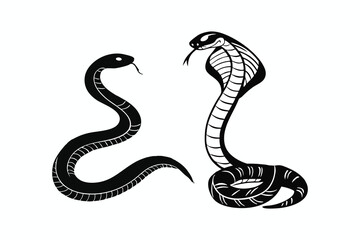 snake vector illustration