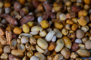 Diverse assortment of seeds captured in vibrant detail showcases nature's bounty at a local market