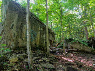 Niagara Glen trail forest view