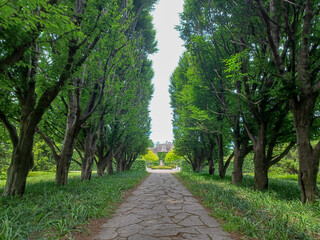 Niagara Parks Botanical Gardens