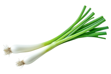 fresh green onions on white background