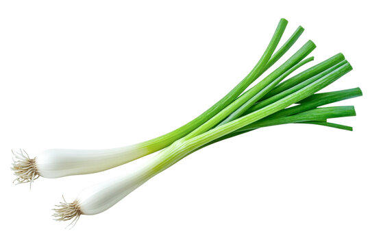 fresh green onions on white background