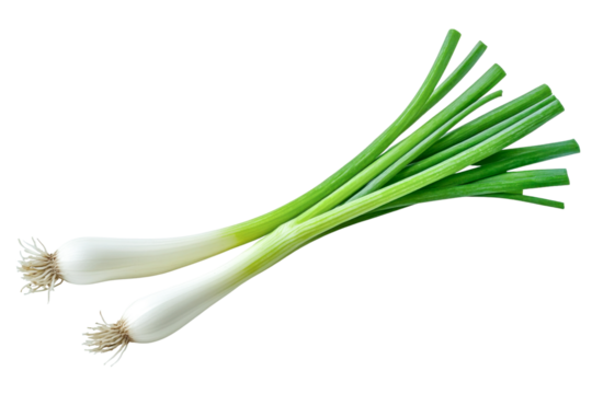 fresh green onions on white background
