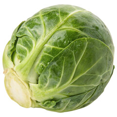 Obraz premium Fresh green cabbage with tightly wrapped leaves, showcasing its natural texture and color against a dark background.