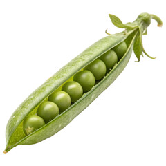 Fresh green pea pod with several peas visible inside, set against a dark background.