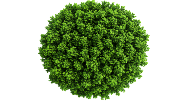 Green leafy sphere, topiary ball, isolated greenery element, cut out transparent - Powered by Adobe