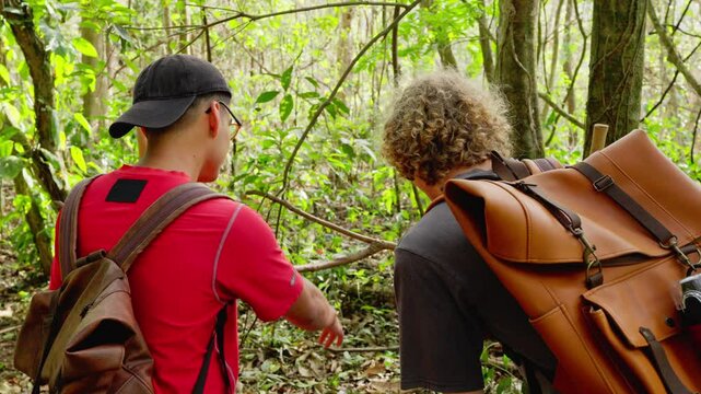 Two young hikers observing a well-camouflaged viper snake in the rainforest of Costa Rica
