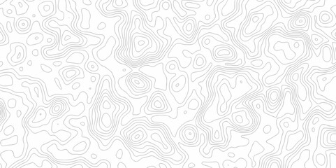 Abstract background vector. Abstract topographic contours map background. Abstract white pattern topography vector background. Black and white topography contour line map isolated on white background.