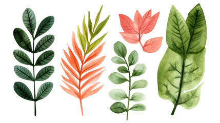 Fototapeta premium Watercolor botanical illustration of foliage, cut out transparent