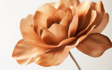 Elegant Copper-Colored Flower Blossom with Delicate Petals on White Background