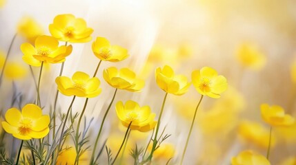 A vibrant display of yellow flowers in a soft, blurred background.