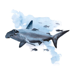 Wildlife of the seas and oceans, hammerhead fish painted with watercolor