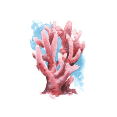 Wild life of the seas and oceans, corals painted with watercolors