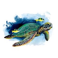Wildlife of the seas and oceans, green turtle painted with watercolors