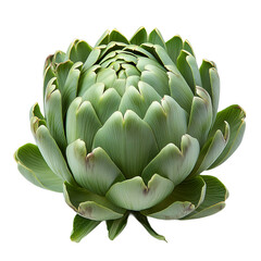 Fototapeta premium Close-up of a Fresh Artichoke Against png isolated on transparent background