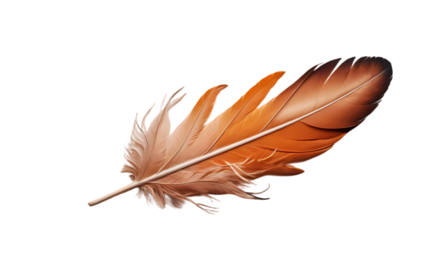 Drifting summer feather in warm tones on transparent
