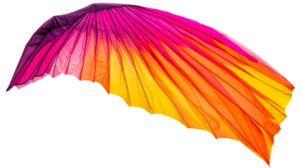 Decorative colorful wing with a gradient, cut out transparent
