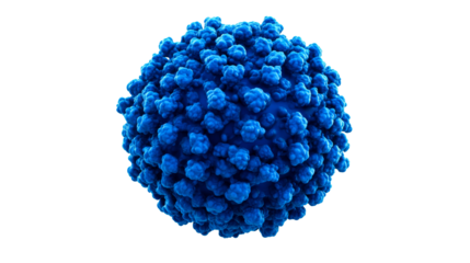 Blue microbe closeup isolated on black backdrop, cut out transparent