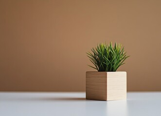 A wooden cube with a white table near a potted plant on a brown background. This is a concept for a stock photo, with copy space available. Stock photography. 