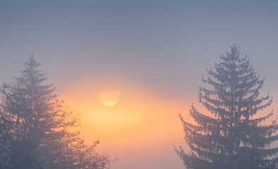 Sun shine through fog, inversion with trees silhouette. Calm Czech morning scene
