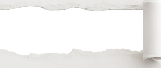 Torn Paper Edge with Rolled Corner and Transparent Space