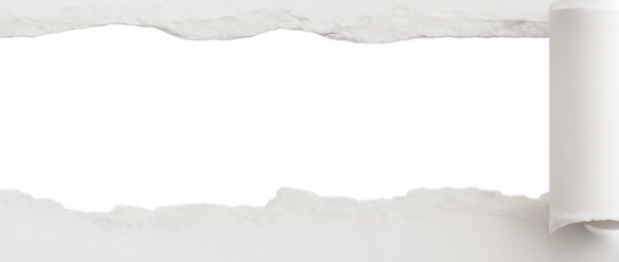 Torn Paper Edge with Rolled Corner and Transparent Space