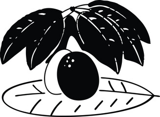 illustration of a black olives Mango