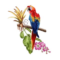 Watercolor drawing of a bright macaw parrot on a branch with flowers