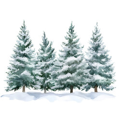 Fototapeta premium A row of watercolor pine trees covered in snow, isolated on a transparent background, PNG