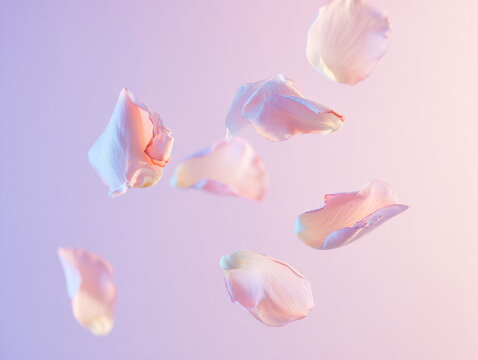 Floating Pink Rose Petals on Soft Gradient Background &ndash; Romantic Floral Concept