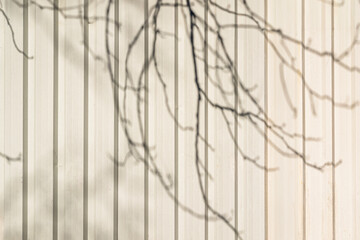 Delicate tree branch shadows cast across light vertical metal wall panels. Branch shadows create...
