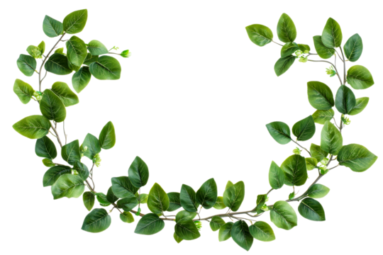 Green leafy wreath decoration, spring foliage frame, cut out transparent