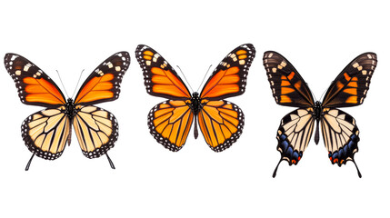Three assorted butterflies on black background, cut out transparent