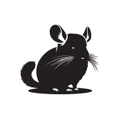 vector illustration of a chinchillas