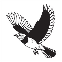 Bird Vector 