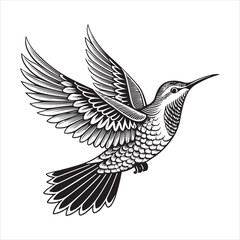 Bird Vector 